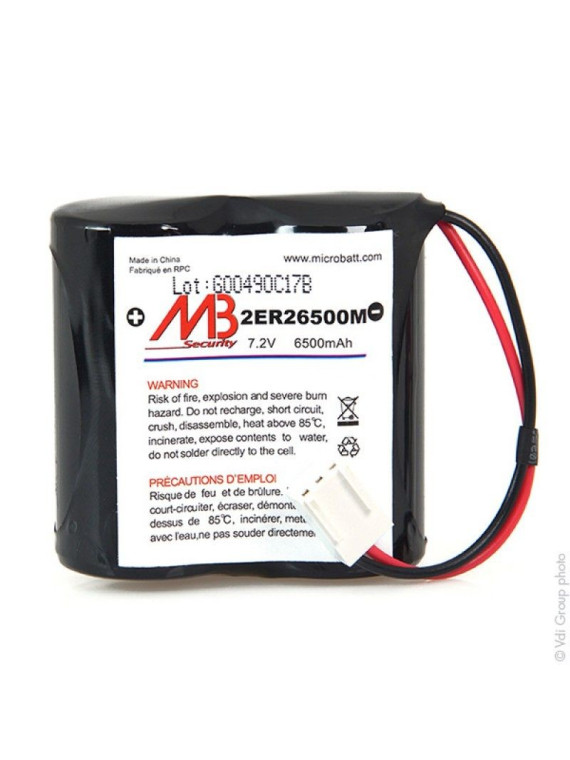 Batterie lithium 7,2V - 6,5Ah BATLI06 - Alarme